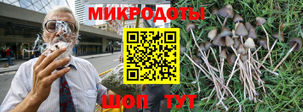 Псилоцибиновые грибы GOLDEN TEACHER Камышлов