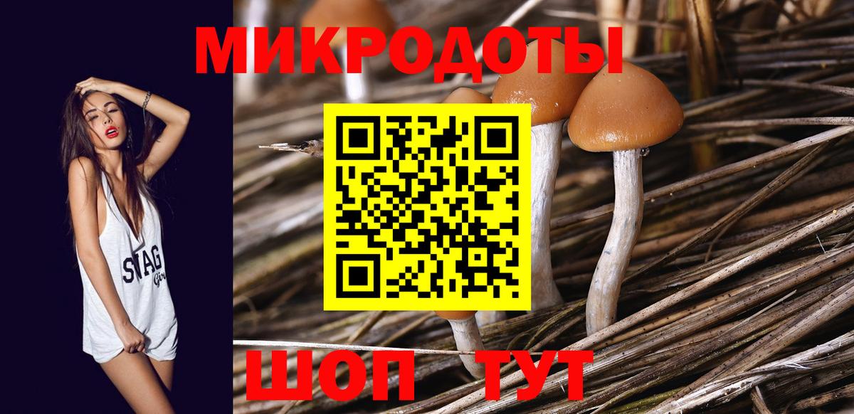 Галлюциногенные грибы ЛСД  Вход с VPN  Камышлов 